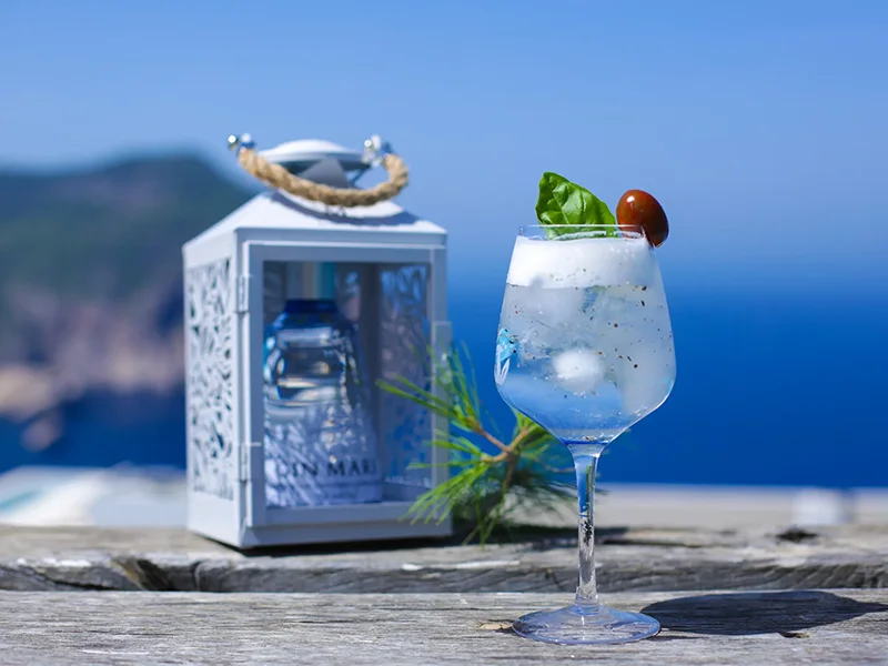 Gin Mare Tonic